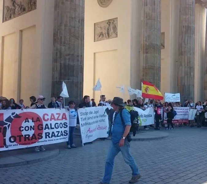 13173887 995759110510482 3506908845407764578 n