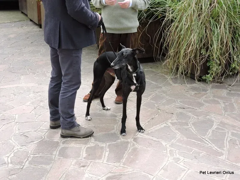 13173910 1027256407358214 1663090711248149787 n