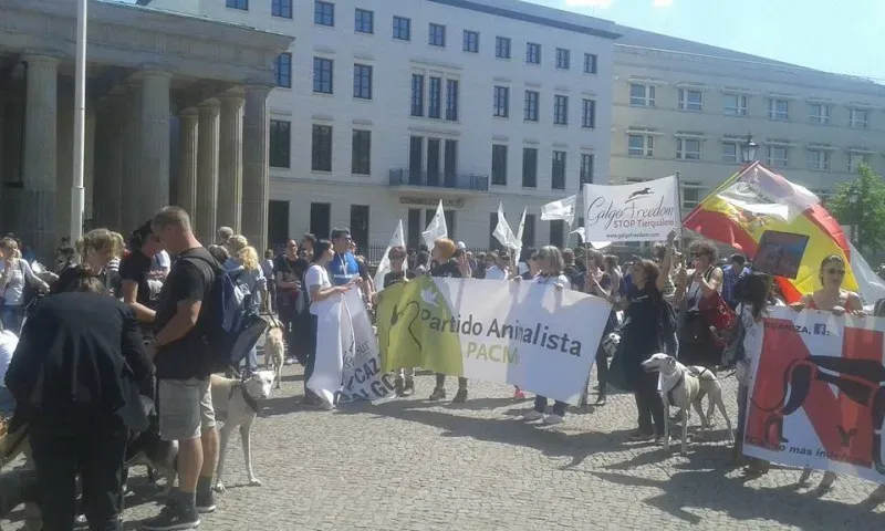 13174204 10209262363739915 3899380794172690203 n