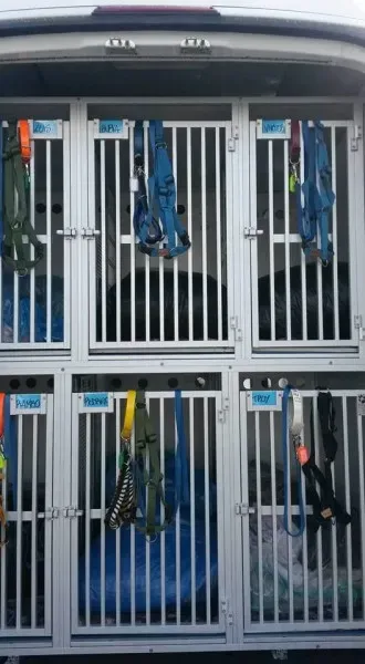 13177106 1025340350883153 4737056435450861489 n