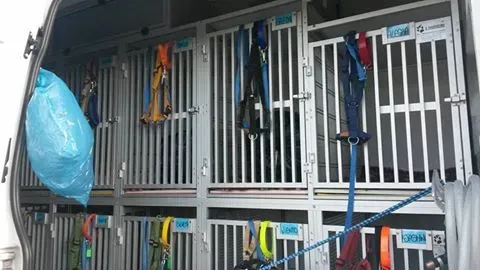 13177389 1025684117515443 6237024422468720193 n