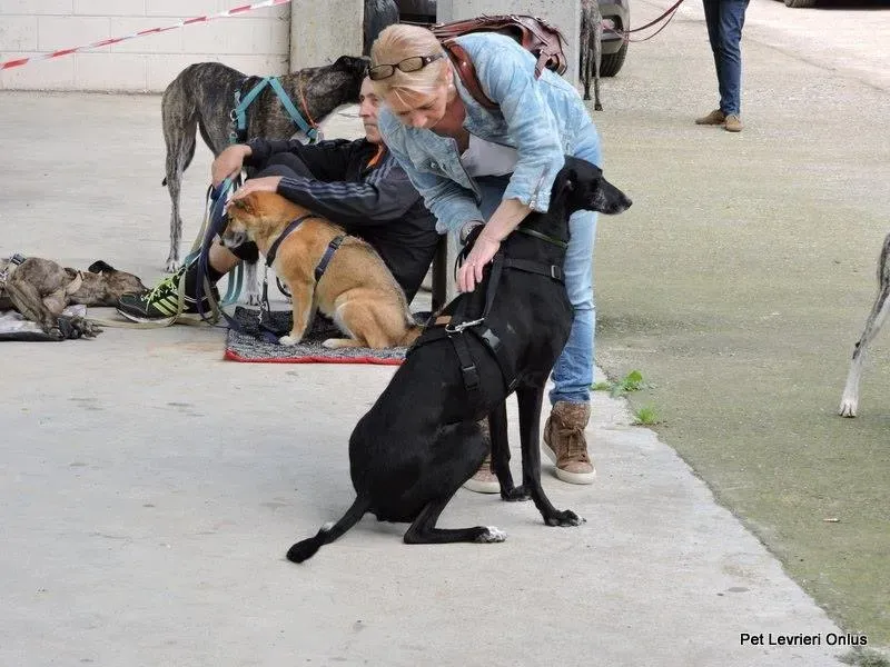 13177471 1028031833947338 7792399242302587104 n