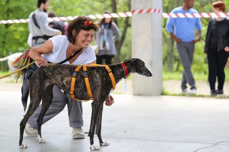 13177488 1026645460752642 4178510266985779977 n