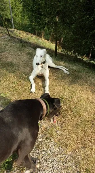 13177506 10207895018986087 2143200603434104263 n