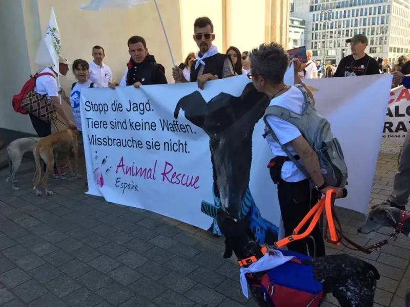 13177561 1043168835757804 5312393685860169509 n