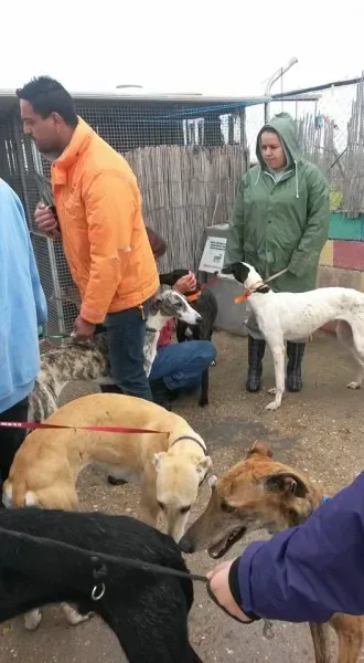 13177621 1025812780835910 2755425519545182990 n