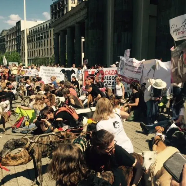 13177641 10154135542211069 2498771892604613253 n