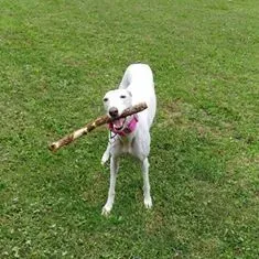 13177717 1023381187745736 8245464891932154042 n