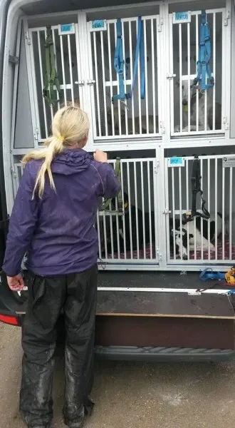 13177736 1025812650835923 4226651147816919459 n