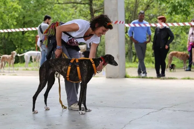 13177900 1026645514085970 7769088336259324843 n