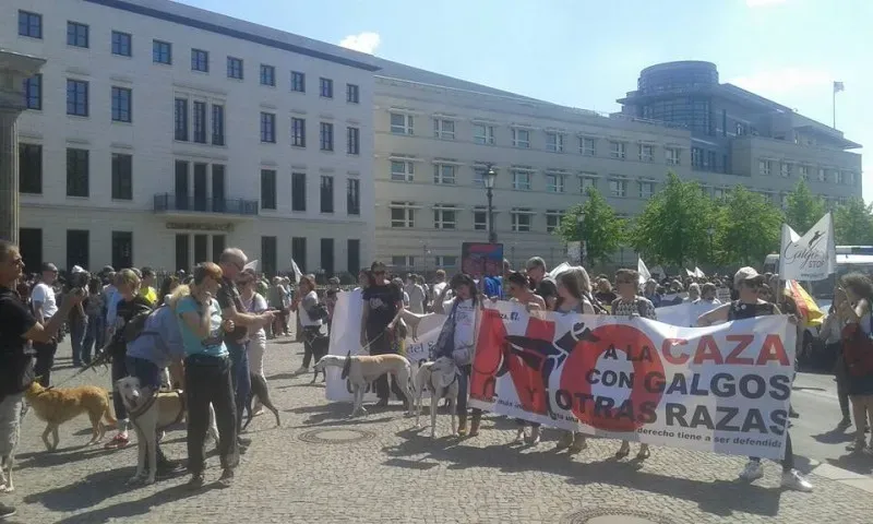 13177920 10209262365979971 8098809014402665674 n