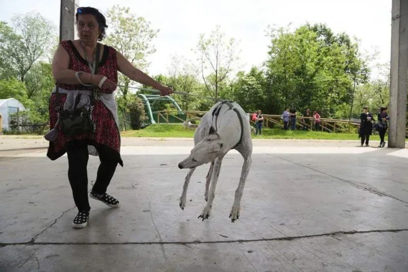 13178582 10207895016146016 439905736533121330 n