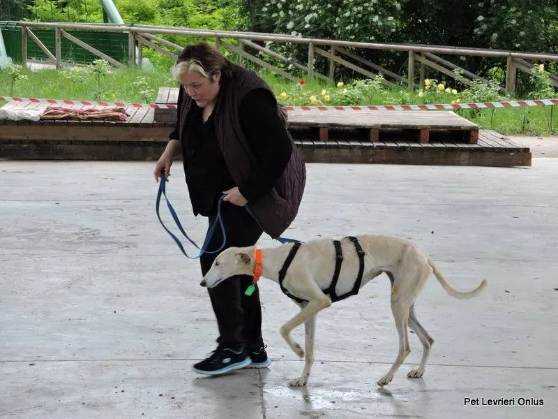 13178968 1028006720616516 216525097466696948 n