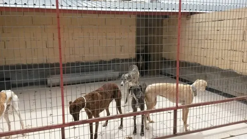 13179012 1025495044201017 4982871813401715674 n