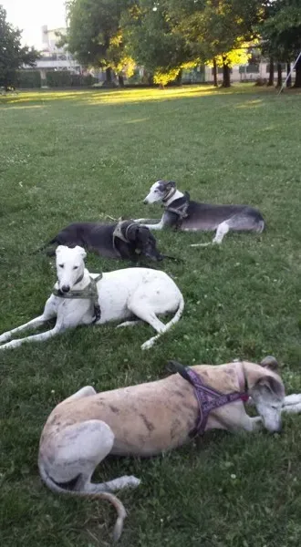 13179031 10207895017186042 7242167860823188933 n