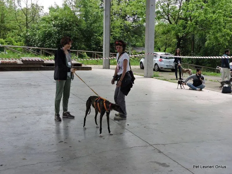 13179291 1028014033949118 4081747776113336322 n