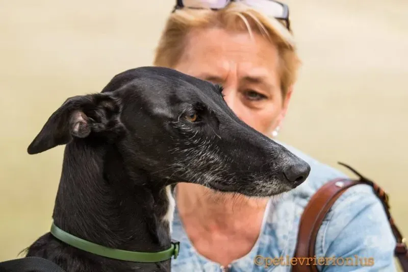 13179428 1028031917280663 427153095116274042 n