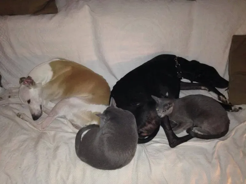 13195 766744153409442 4625616584677067765 n