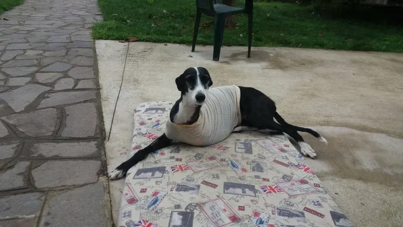 13214888 10208091931448719 2111235514 o