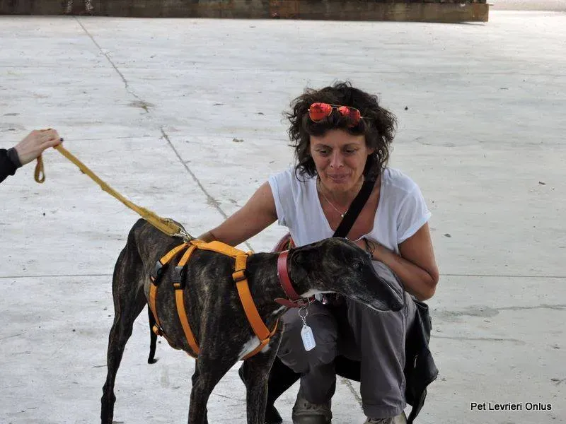 13220895 1028014053949116 8322630816602515073 n