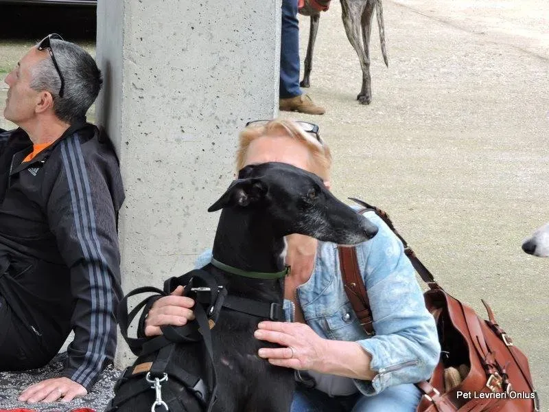 13220947 1028031953947326 1958277581807526916 n