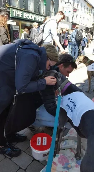 13221659 10208282031982016 8989581837497866070 n