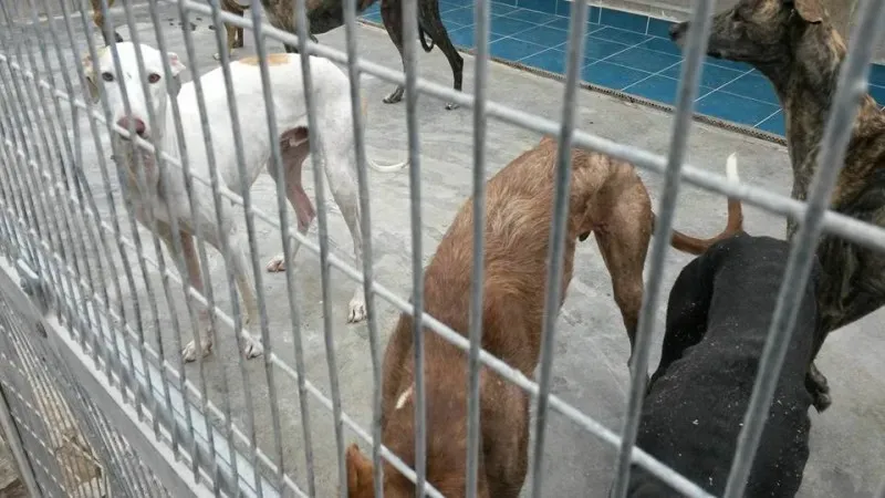 13221690 1025494974201024 3003485650844245630 n