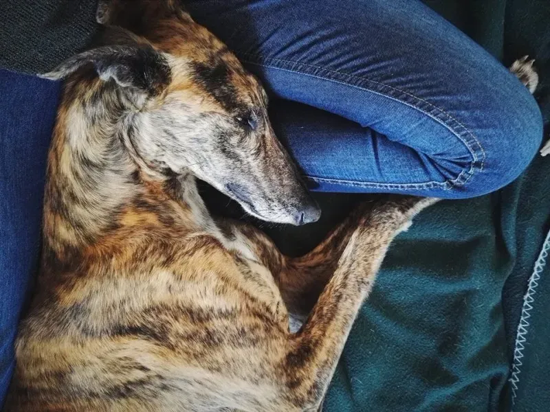 13226688 10154157290714547 7840240238941349629 n