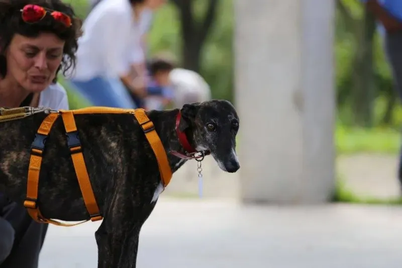 13226957 1026645317419323 5067151429333952379 n