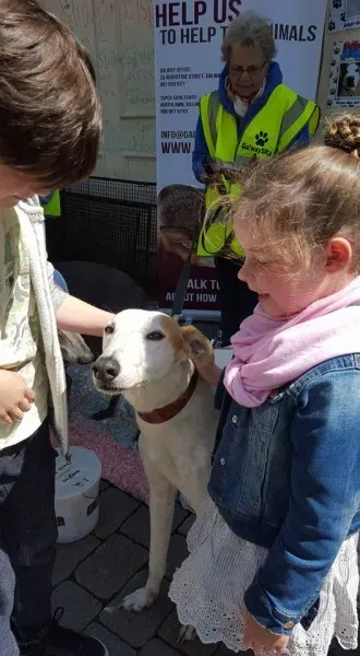 13226976 10208282032822037 2444617982195724862 n