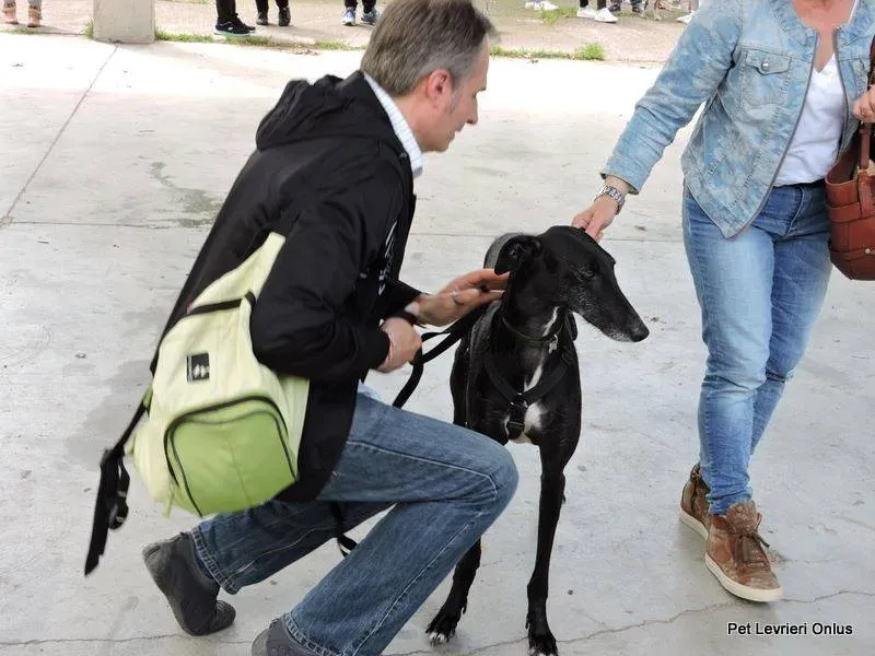 13227041 1028031820614006 3245947900019697875 n