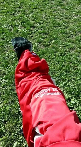 13227050 1334605069889680 5179673951915307784 n