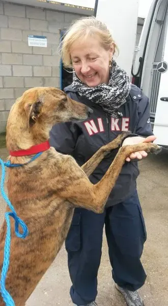 13227100 1025812704169251 187284420942638906 n