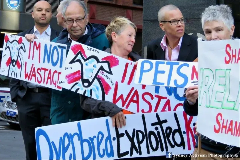 13227657 1781623692124063 2448337930796797859 o