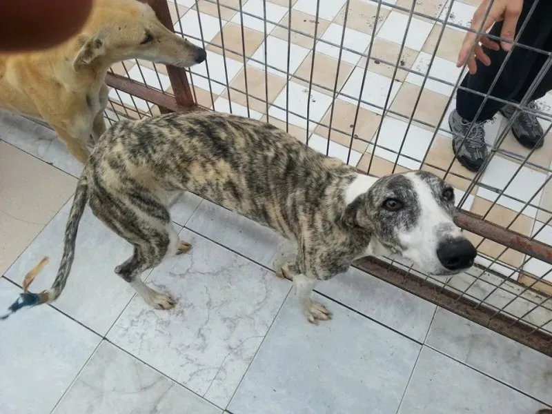 13230071 1025494914201030 8784426140406149393 n