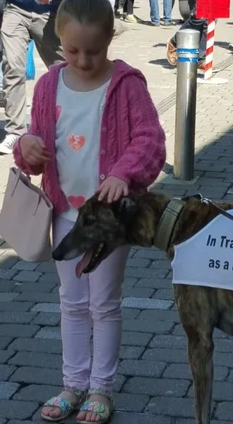 13230085 10208282027821912 1444090268648164554 n