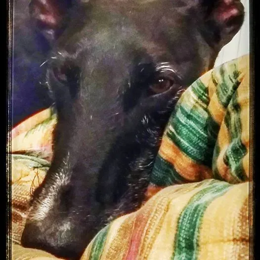 13230198 1332504793433041 7493610320525713246 n