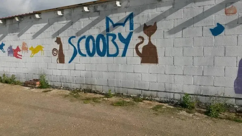 13230230 1025496640867524 9142007105426971938 n