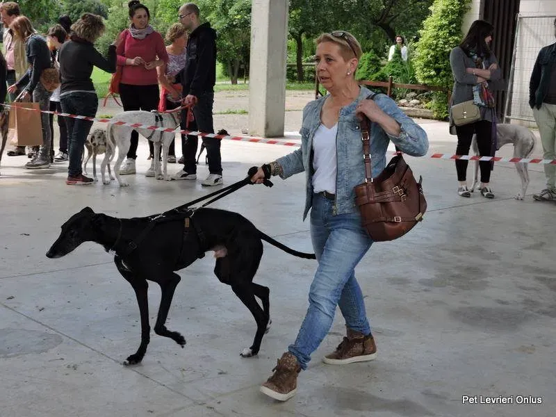 13232901 1028031913947330 7081472124724609811 n