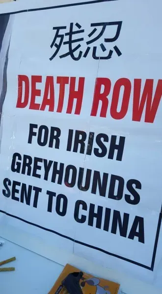 13232974 10208282024661833 2421503417563521452 n