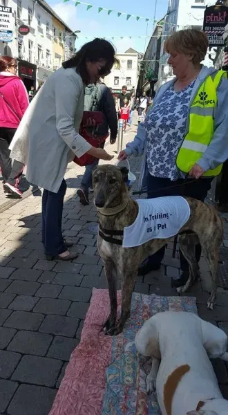 13233002 10208282030741985 8383085965654136326 n