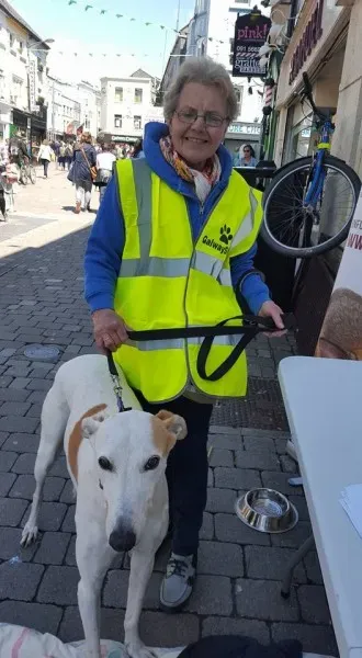 13233077 10208282024981841 1794516113276794659 n