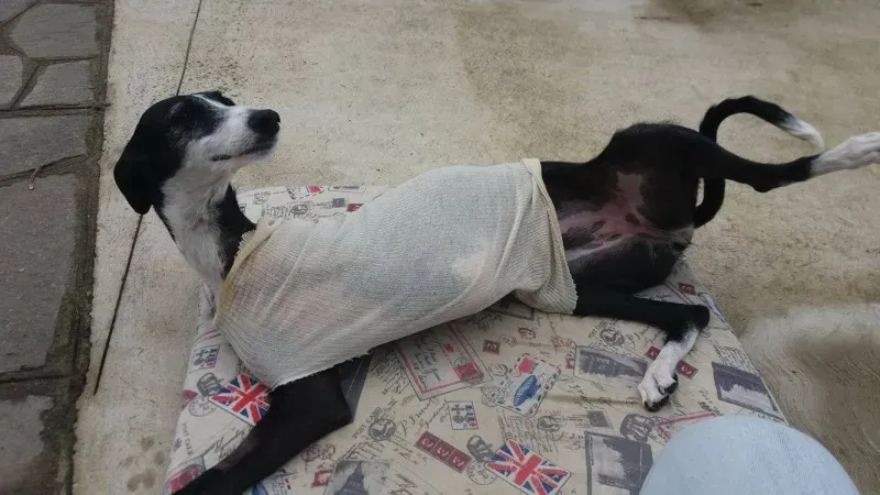 13234486 10208091926368592 1356570052 o