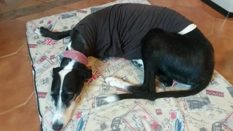 13234706 10208093879857428 256826309 o