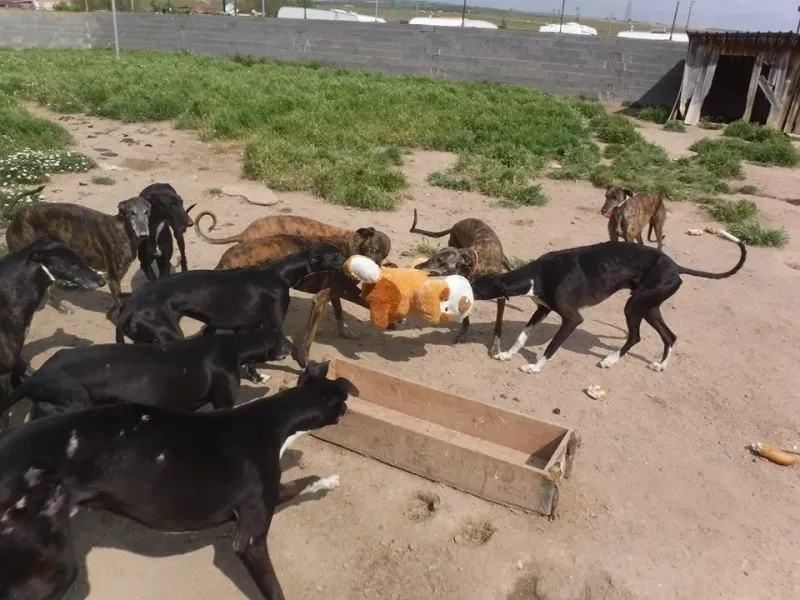 13237724 1200678549944304 6967271744611043463 n