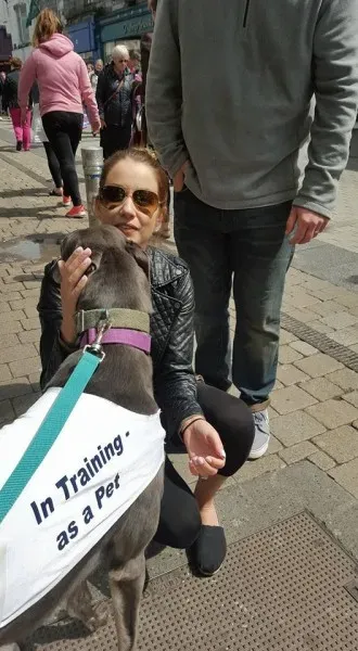 13237778 10208282036822137 1649365004539055217 n