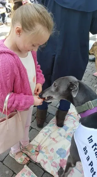 13238967 10208282026861888 7687898616397228318 n