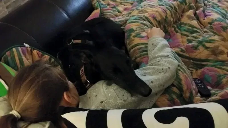 13239040 1334605393222981 4436470121610659959 n