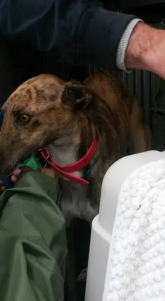 13239100 1025812807502574 8996571405413502842 n