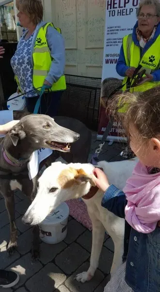 13239124 10208282032582031 5674434636944513865 n